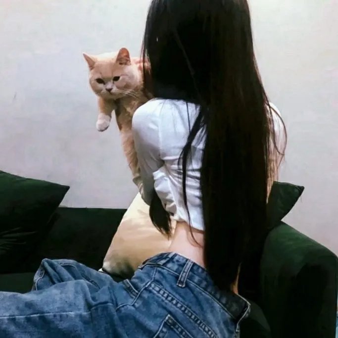 华丽的休假