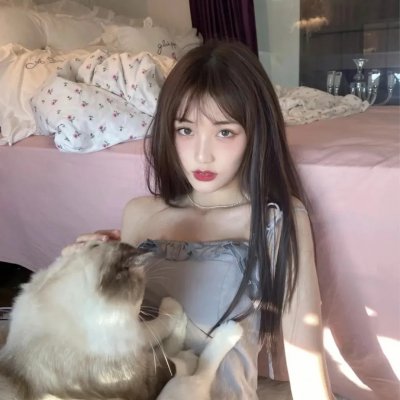 猫贼